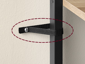 Close-up of a black strap with metal fastener, circled in red. Appears to be a furniture safety strap for securing items to walls.